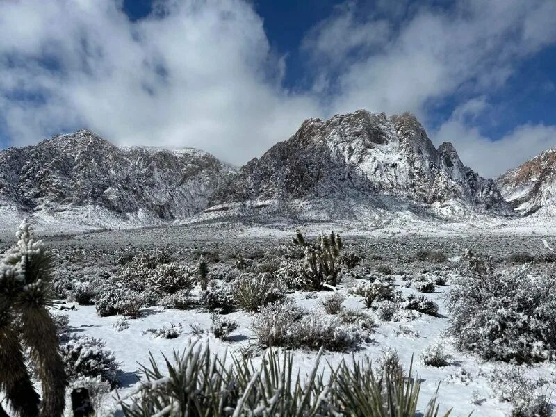 снежная калифорния