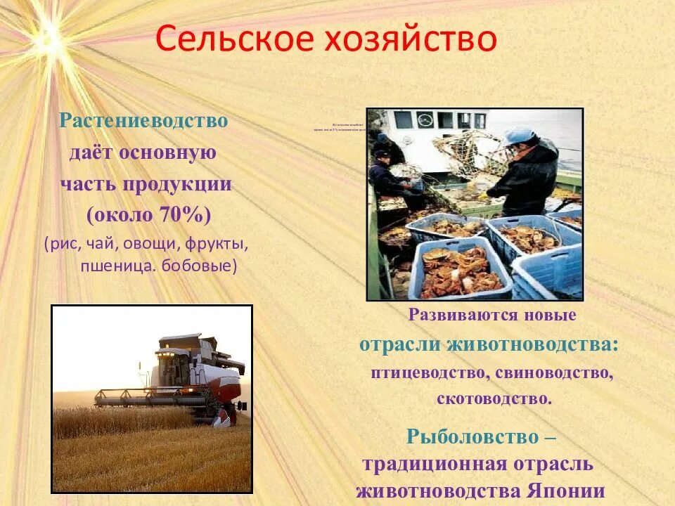 Сельское хозяйство японии таблица. Отрасли сельского хозяйства схема. Отрасли специализации сельского хозяйства китая. Соотношение земледелия и животноводства. Отрасли растениеводства: японии.