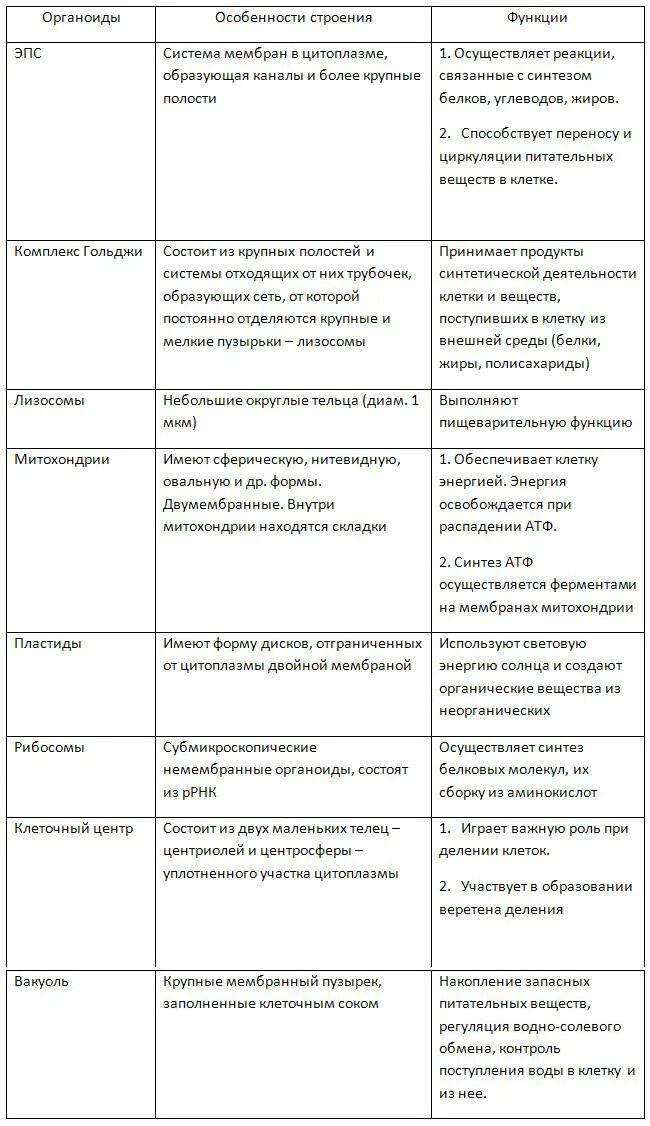 Таблица по биологии органоиды клетки и их функции и строение. Таблица название органоида функции. Строение и функции органоидов эукариотической клетки таблица. Название органоида строение функции таблица. Функции цитоплазмы органоида клетки