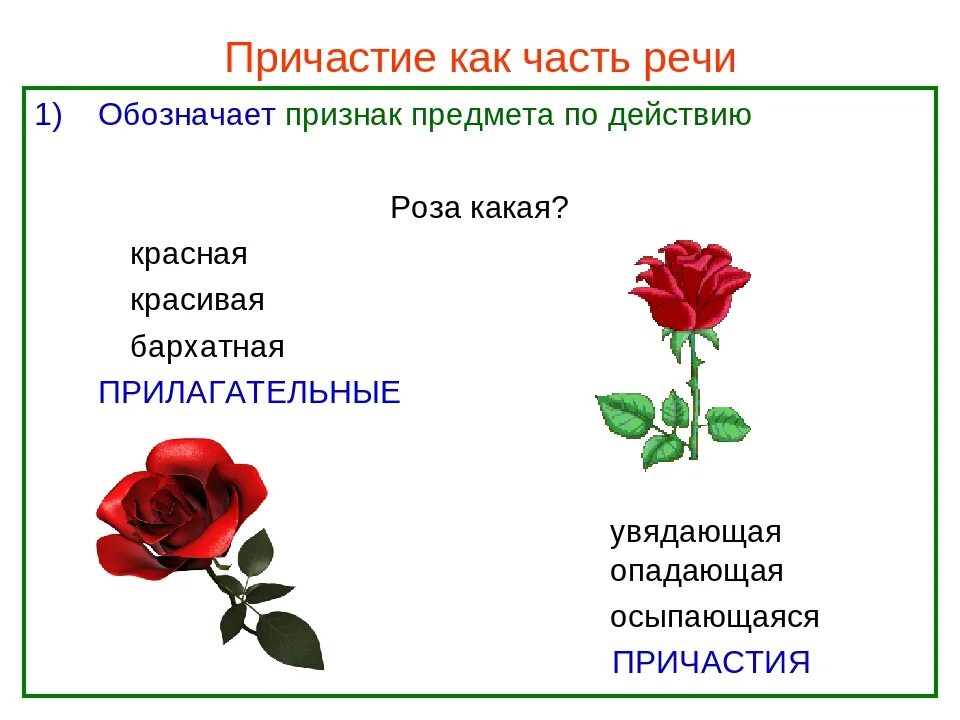 Окончание слова роз. Причастие как часть речи. Причастие презентация. Причастие как часть речи 7 класс. Причастие к АК Чапст ь речи.