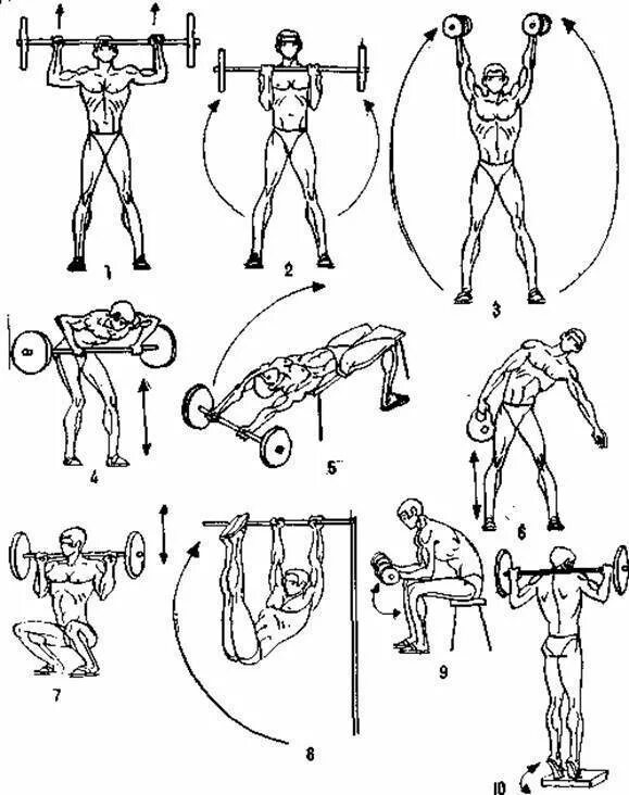 Программа штанга гантели. Атлетическая гимнастика комплекс упражнений. Комплекс упражнений атлетической гимнастики мышцы. Комплекс атлетической гимнастики для начинающих. Атлетическая гимнастика комплекс упражнений с гантелями.