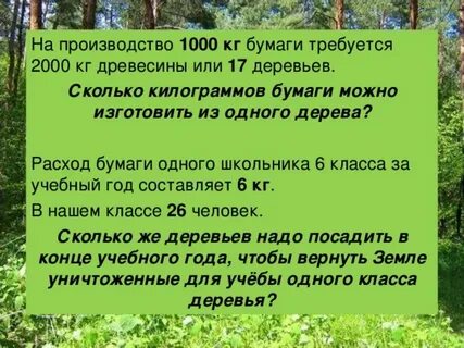 Сколько бумаги из 1 дерева
