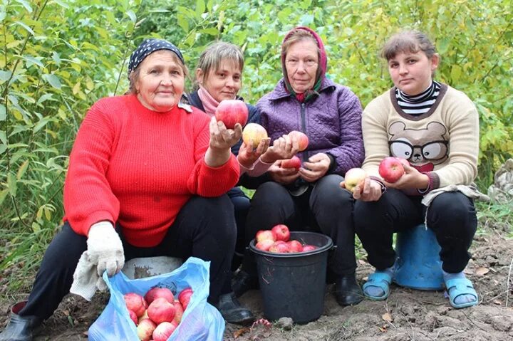 Погода в лунино точно на 10 дней. Пензенская область Лунинский район село Засурское. Сады Придонья Лунино. Сады Придонья село Засурское. Яблочные сады Засурское Лунинский район.