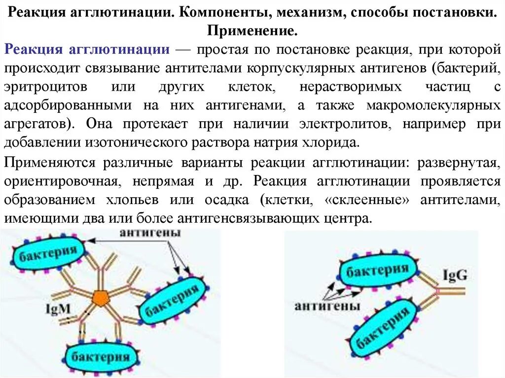 Реакция агглютинации антиген