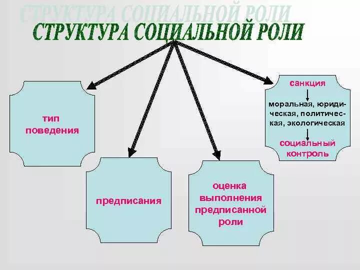 Какую структуру имеет общество