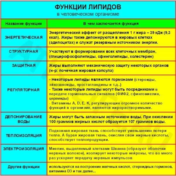 Функции жиров в питании. Функции жиров в организме. Биология функции жиров с примерами. Липиды характеристика и функции. Главные функции жиров.