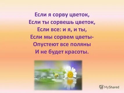 Сорву цветов