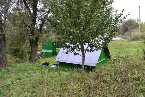 Погода село ульяновка