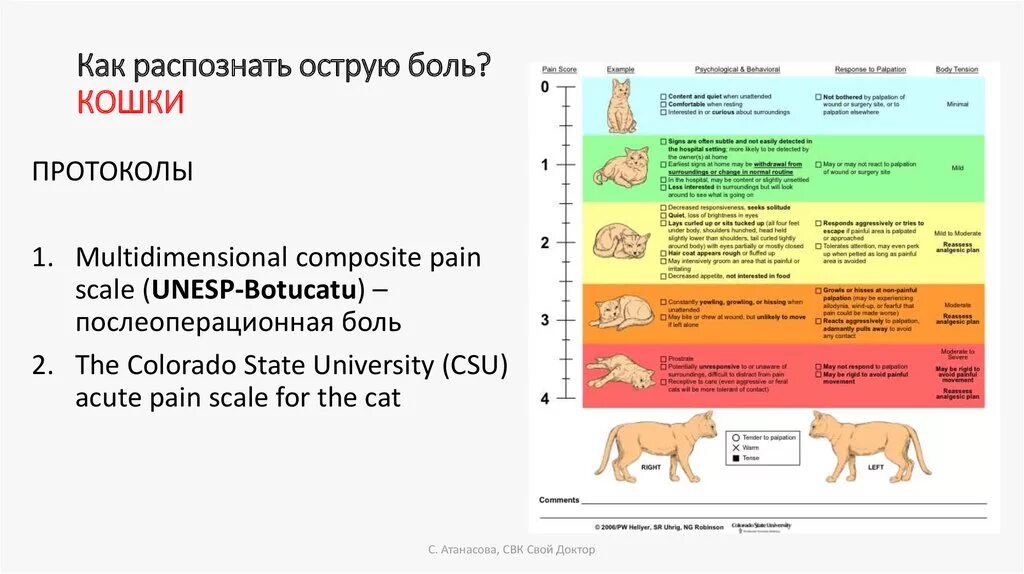 У кошечки болит. Шкала оценки боли у собак. Визуальная аналоговая шкала боли кошки. Шкала оценки боли у кошек. Шкала оценки боли у животных.