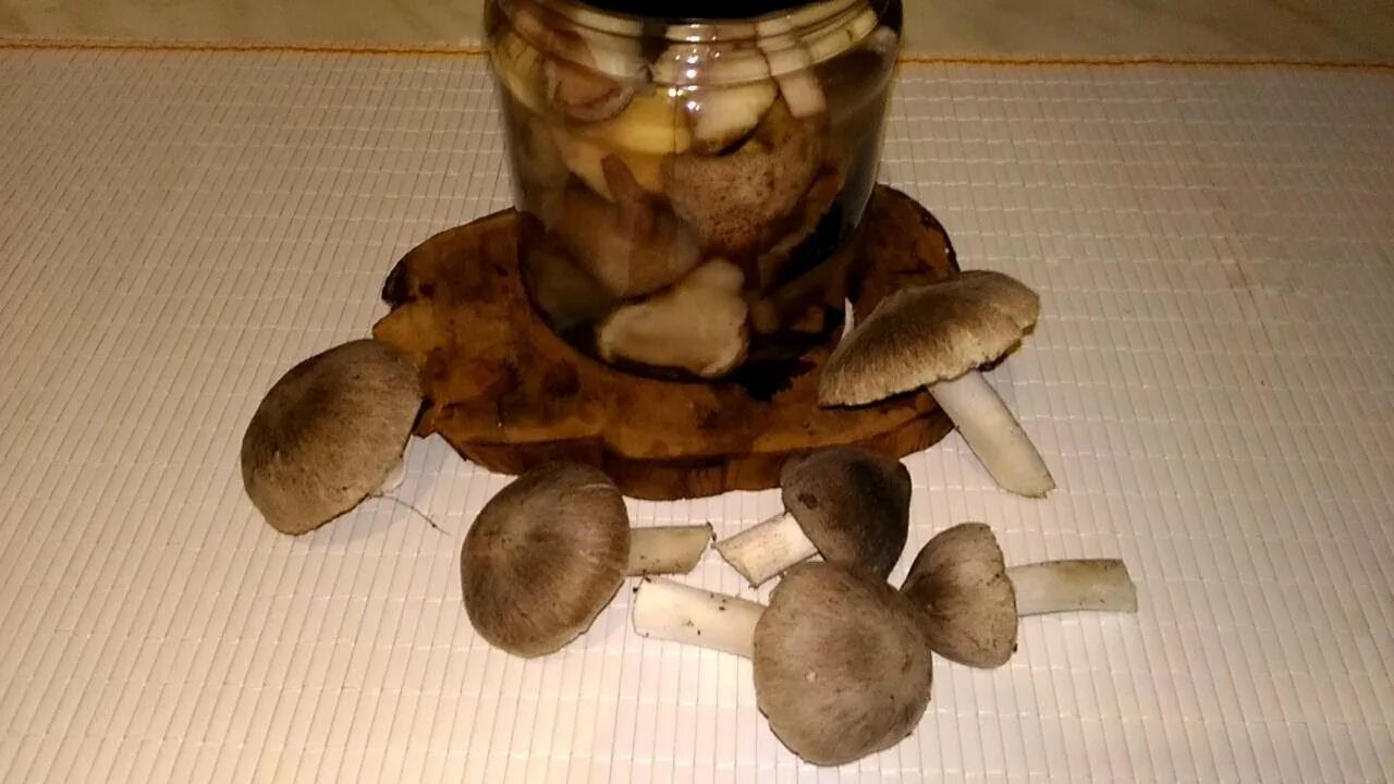 Грибы мышата в крыму как готовить. Вареные мышата грибы. маринованные грибы мышата. грибы мышата на зиму. мышата грибы блюда.