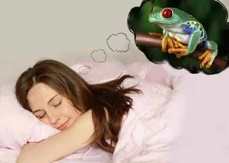 Жабы во сне к чему снятся женщине