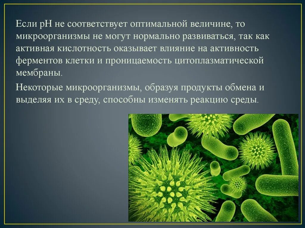 Влияние воздуха на живые организмы. Биологическое загрязнение окружающей среды. Биологические загрязнения вирусы бактерии. Биологическое загрязнение среды. Биологическое загрязнение человека.