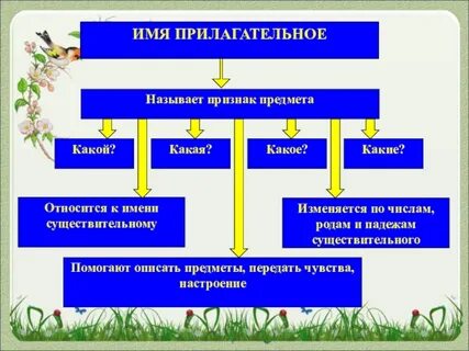 Число имен прилагательных 3 класс рабочий лист