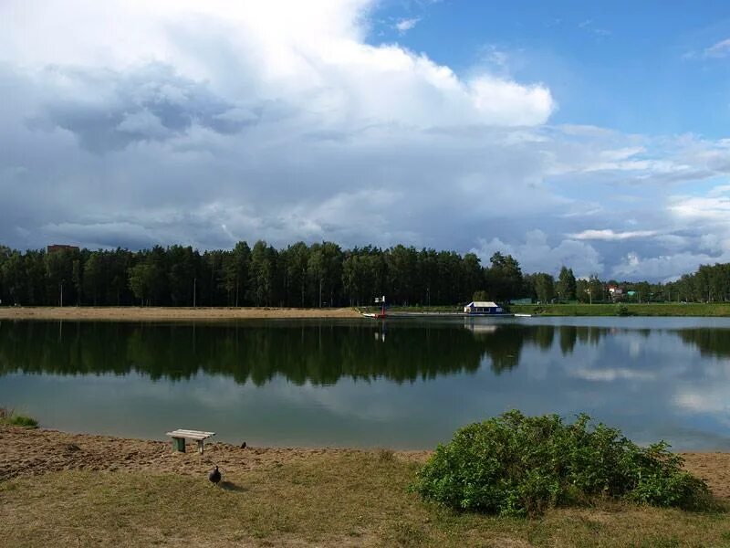 Фотографии: Черноголовка, лето 2005