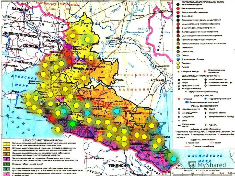 Северный кавказ специализируется на выращивании. Хозяйство европейского Юга карта. Карта экономических районов России Европейский Юг. Отрасли промышленности Северного Кавказа карта. Карта района Европейский Юг Северный Кавказ.