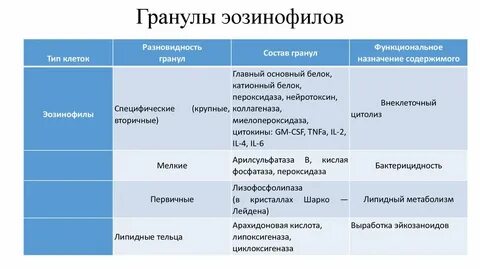 1 1 1 состав функциональных