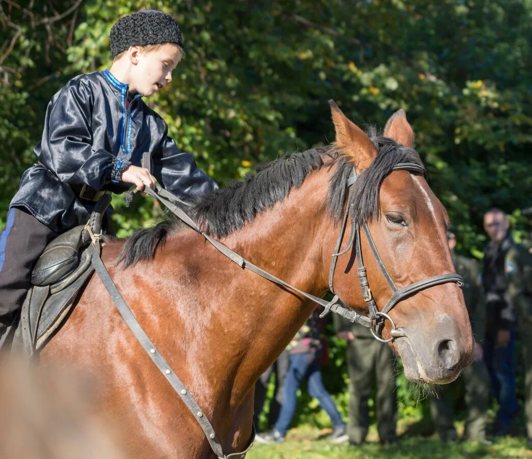 лошадь управляет огнем. Rdr 2 лошадь артура. один на коне. управляющий лошадями. прием жокей и лошадь.
