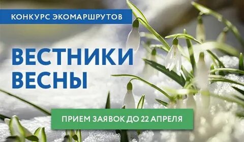 Вестник весны