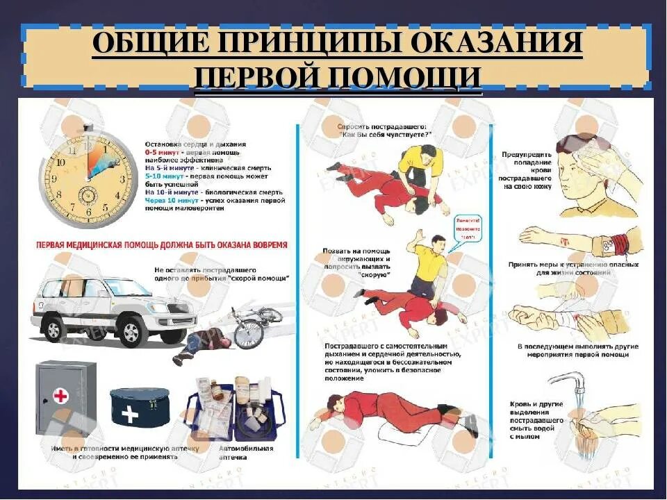 Оказание первой помощи пострадавшим правильные ответы. Основные принципы и правила оказания первой помощи. основные правила оказания 1 помощи. принципы оказания пмп. принципы при оказании первой медицинской помощи.