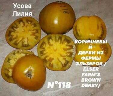 Томат дерби