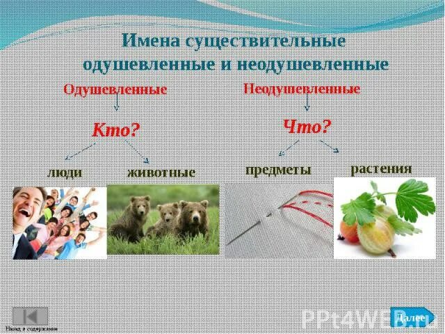 Каким признаком имени существительного является одушевленность