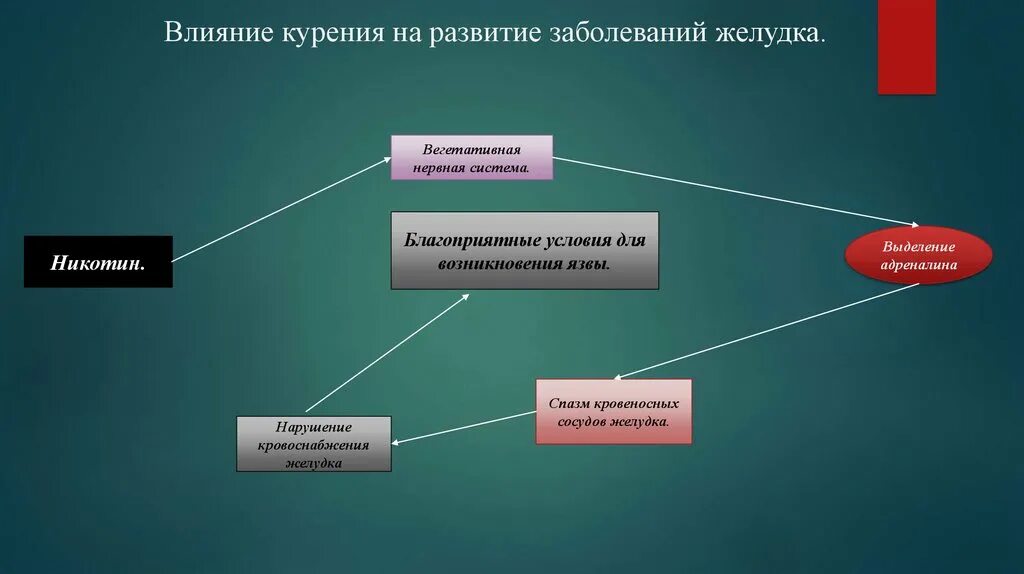 Курение фактор развития. Влияние курения на желудок. Никотин влияет на желудок.