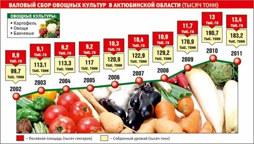 Валовый сбор урожая по культурам. Валовые сборы овощных культур в России. Валовый сбор овощей в Саратовской области в 2024. Объявление о сборе овощей мясо. Валовый сбор картофеля