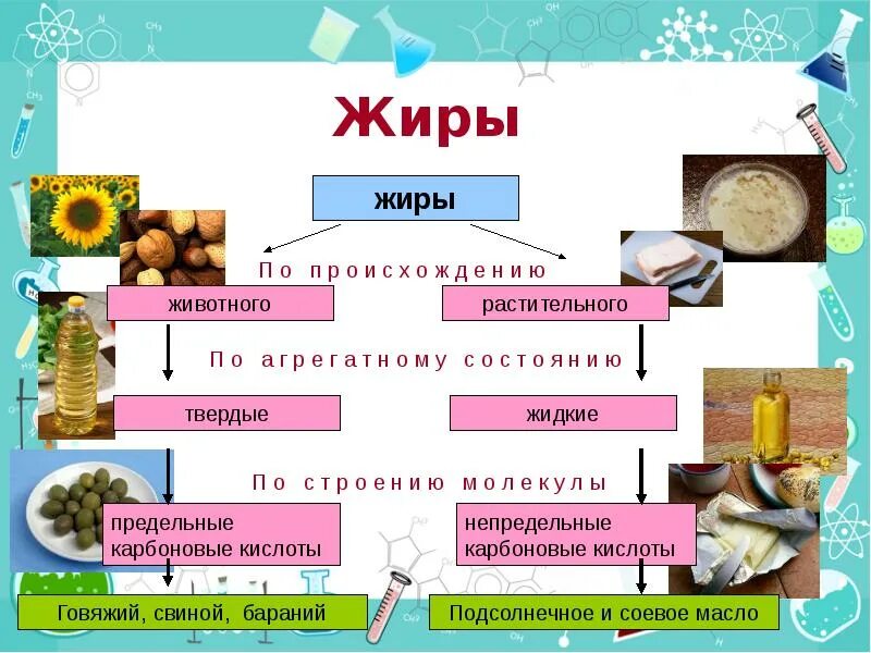 Растительные и животные жиры отличаются. Предельные и непредельные жиры. Предельные жиры примеры. Твердый жир растительного происхождения. Классификация жиров предельные и непредельные.