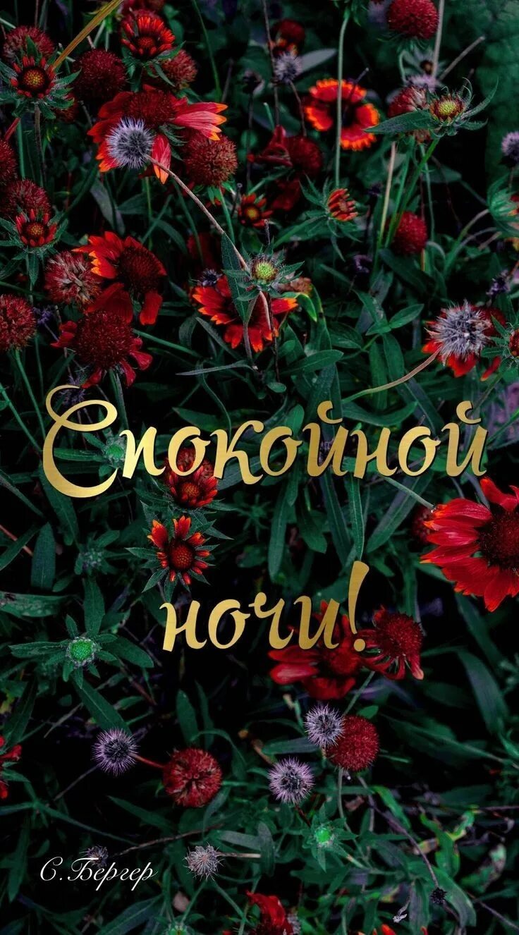 Доброй летней июльской ночи. Доброй летней ночи. Июльской ночи картинки с надписями. Спокойной ночи сладких снов. Доброй ночи летом.