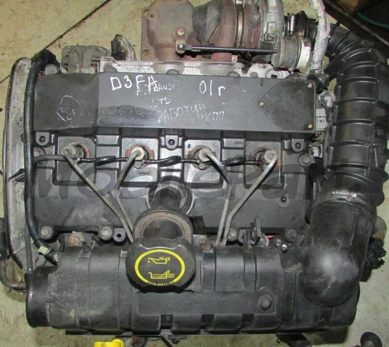 Двигатель Форд Транзит 2.0 дизель 2001-2006. Номер двигателя Форд Транзит 2001 год. Двигатель Форд Транзит / Ford Transit 2.0 d3fa. Номер двигателя Форд Транзит 2.0.