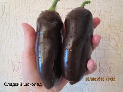 Перец ганнибал