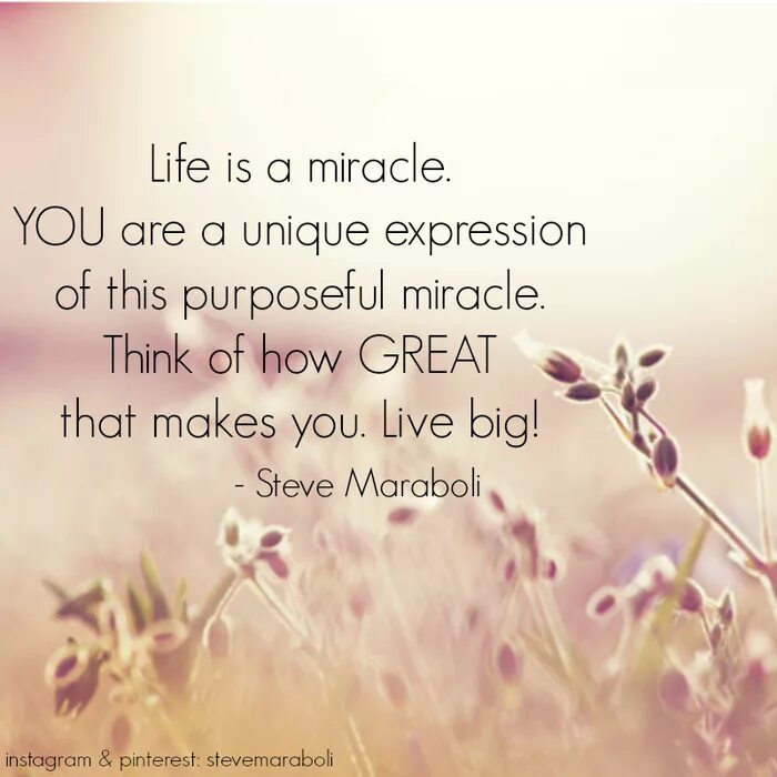 Life is unique. You are a Miracle. The Miracle of you. Life is a Miracle. Miracle перевод.