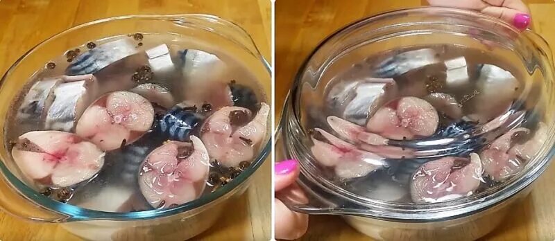 Рецепт скумбрии кусочками. Скумбрия в рассоле кусочками. скумбрия в рассоле кусочками с луком. скумбрия соленая кусочками в рассоле. скумбрия малосольная в домашних в рассоле кусочками.