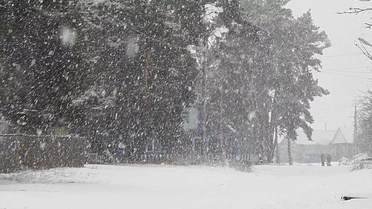 Метель шум слушать. Снег валит. Метель в городе. Зима снег валит. Снежок валит.