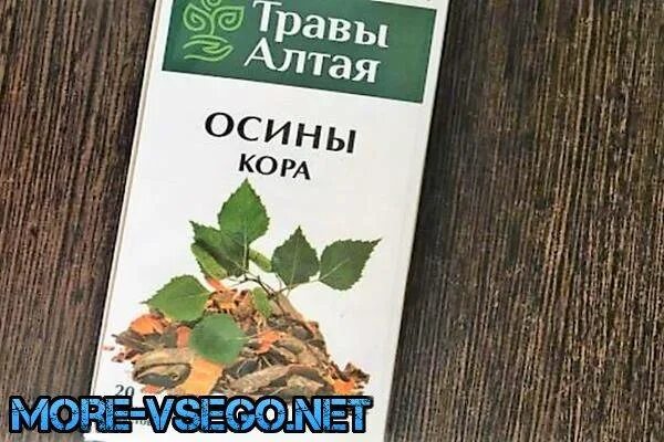 Отвар коры осины. Осина польза и вред для здоровья