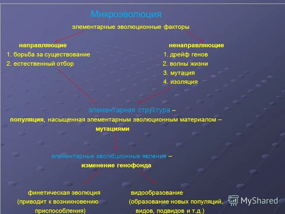 Теория дарвина движущие силы. Элементарные эволюционные факторы. Элементарные эволюционные факторы презентация. Элементарные эволюционные факторы схема. Микроэволюция факторы эволюции.