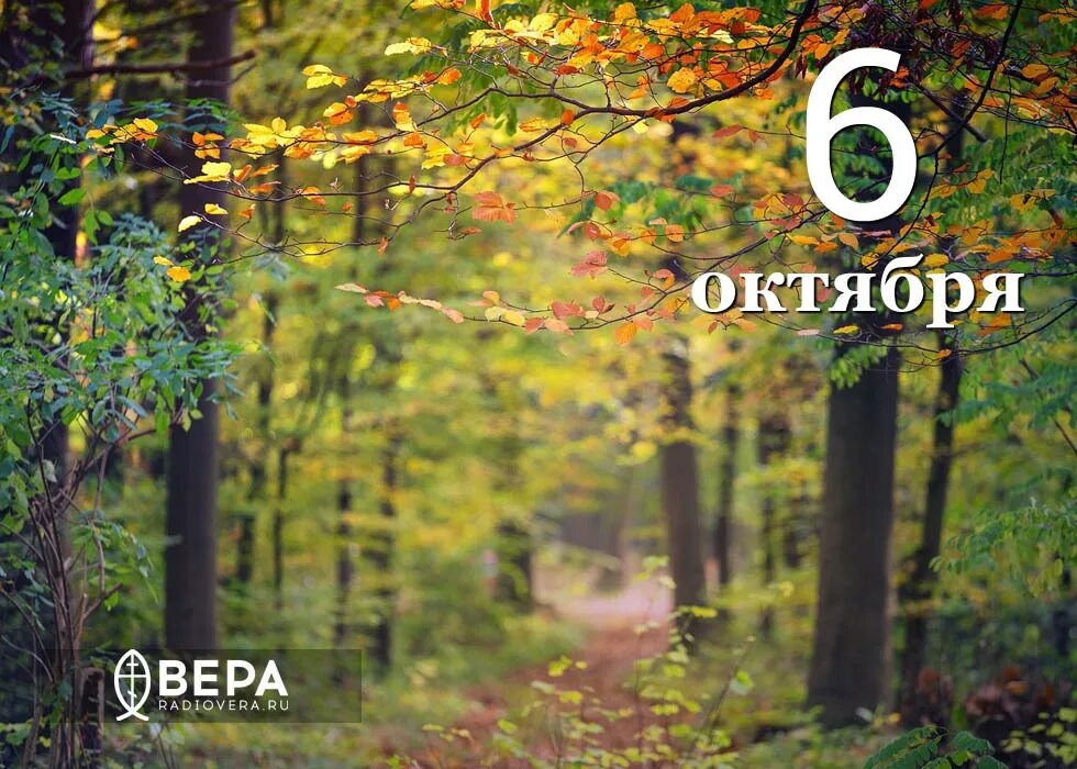 2 3 4 5 6 октября. 6 октября день. 6 октября картинки. 6 октября 2012. картинки 6 октября день раиды.