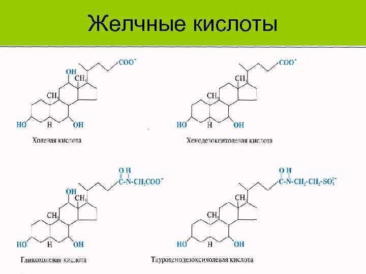 Первичные и вторичные желчные кислоты. Общая структурная формула желчных кислот. Схема синтеза желчных кислот биохимия. Перечислите первичные желчные кислоты. Вторичные желчные кислоты