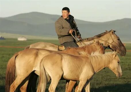 Сосед казаха