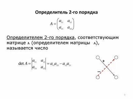 Биологические определители какая информация