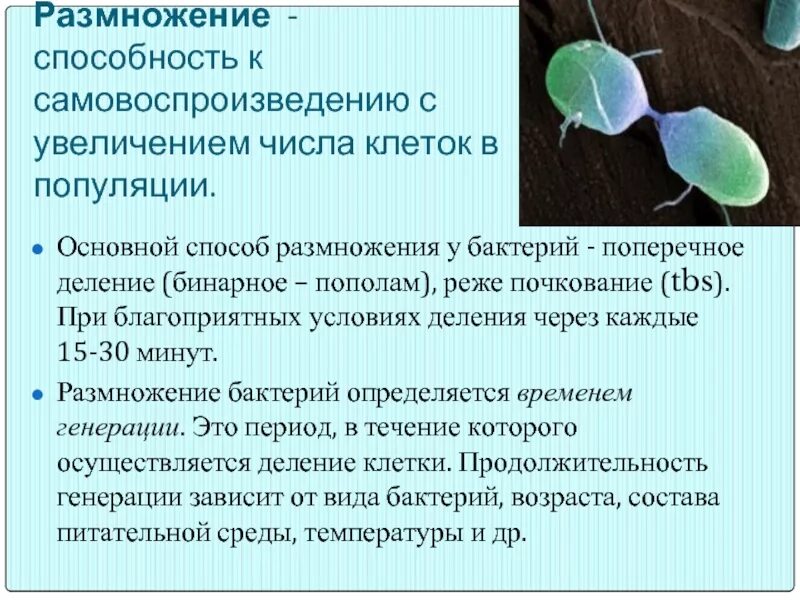 Способностью к размножению обладают. Способность к самовоспроизведению. способность организмов к самовоспроизведению это. способностью к самовоспроизведению обладают:. способны к самовоспроизведению.