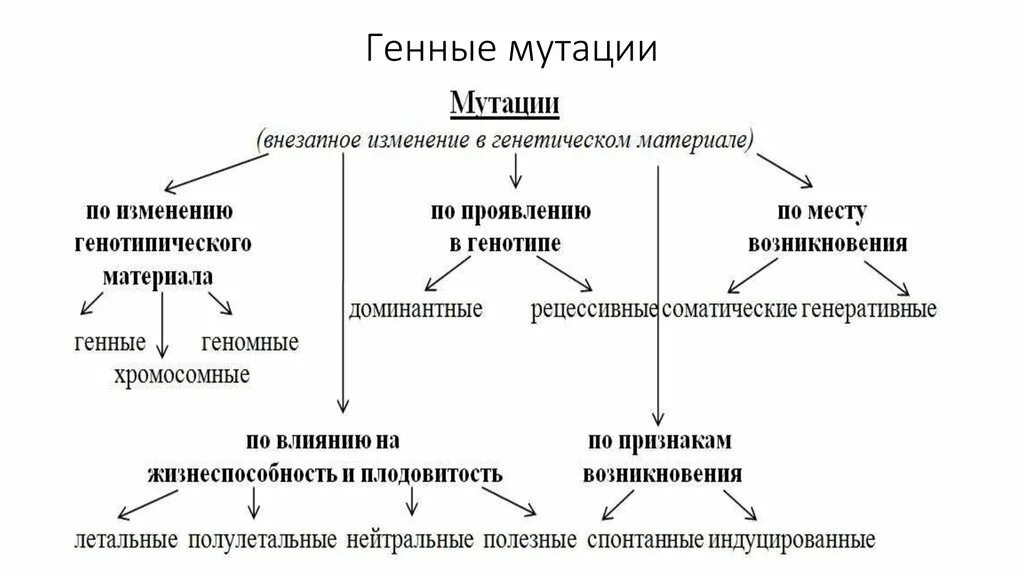 Мутации изменения генетического материала геномные хромосомные. Генные геномные хромосомные мутации схема. Виды мутаций хромосомные генные геномные примеры. Типы мутаций ДНК таблица.