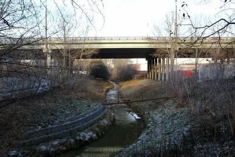 Река таракановка санкт петербург