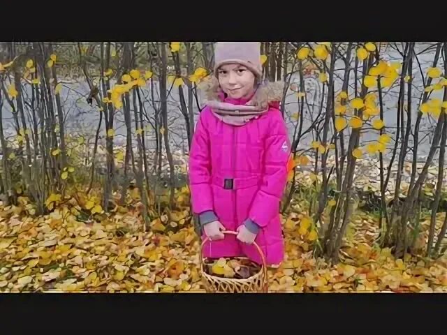 Балонский в лесу. Лесной овраг. Хвойная тайга ручей. Человек бежит по лесу. Осень лес тропинка.