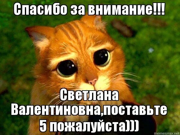 Татьяна викторовна поставьте 5 пожалуйста. Кот шрек глаза. Грустный кот из шрека. Прости меня кот в сапогах. Репост пожалуйста.