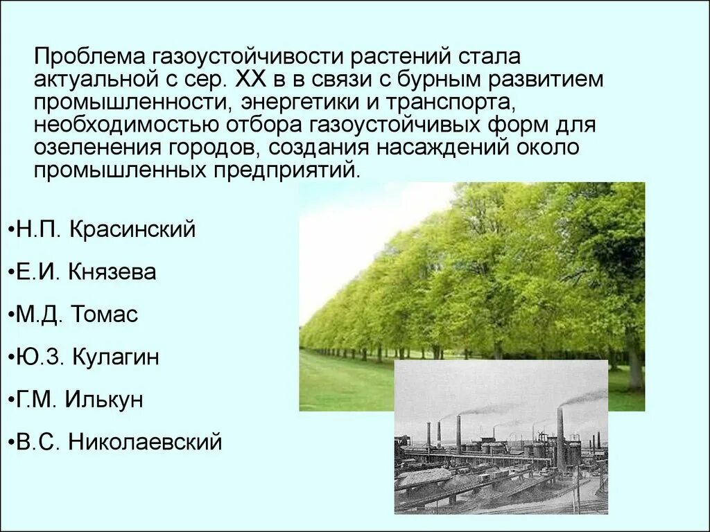 1 эта проблема в связи. Шкала газоустойчивости растений. Газоустойчивость древесных растений. Шкала газоустойчивости древесных растений. Газоустойчивая древесная порода.