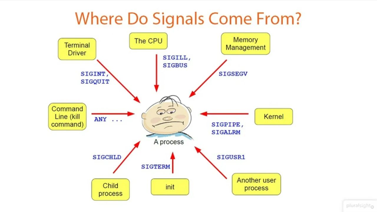 Linux сигналы процессов. Сигналы linux. signal linux. signals in linux.