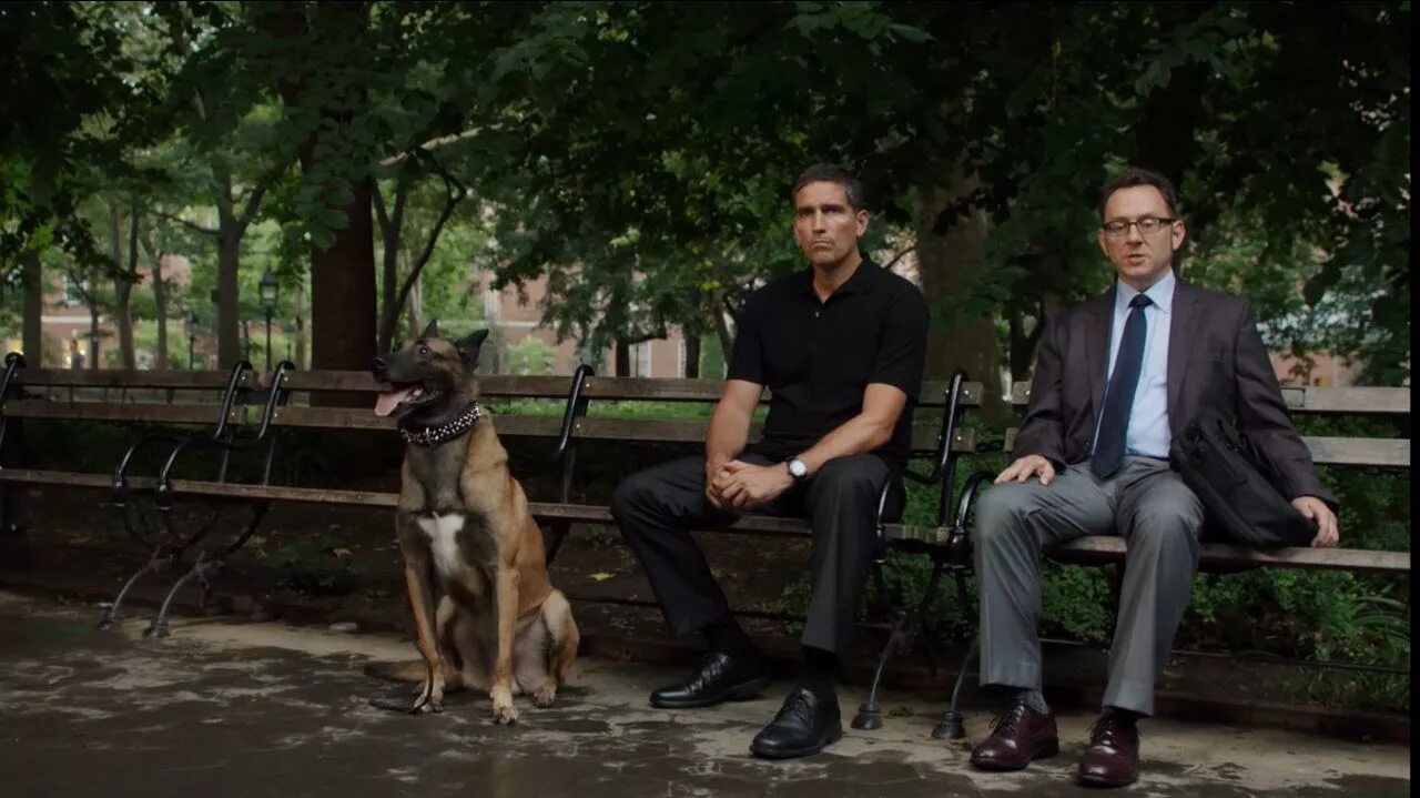 Джеймс кэвизел кадры. В поле зрения сериал 3 сезон. Самин шоу в поле зрения. Nothing interesting here. Сериал в поле зрения руут.