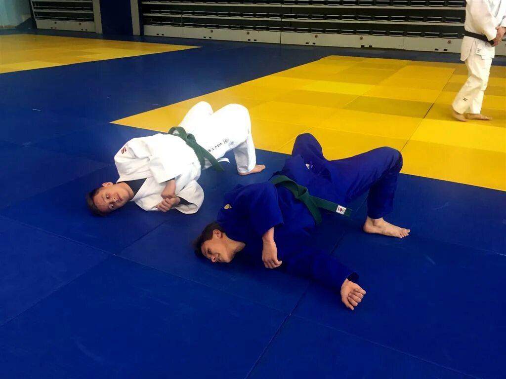 Славянские секции единоборства. Сарбадаков валерий прокопьевич назарово дзюдо. Борьба в партере дзюдо. Дзюдо фото. Миклош унгвари.