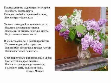 В семнадцать лет вы расцвели прелестно